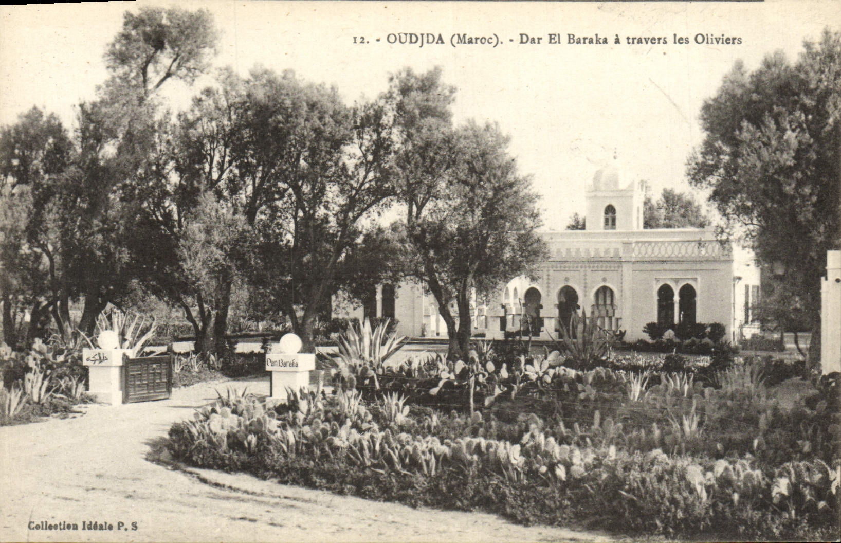 VINTAGE POSTCARD Oudjda Dar El Baraka Through the Olive-trees