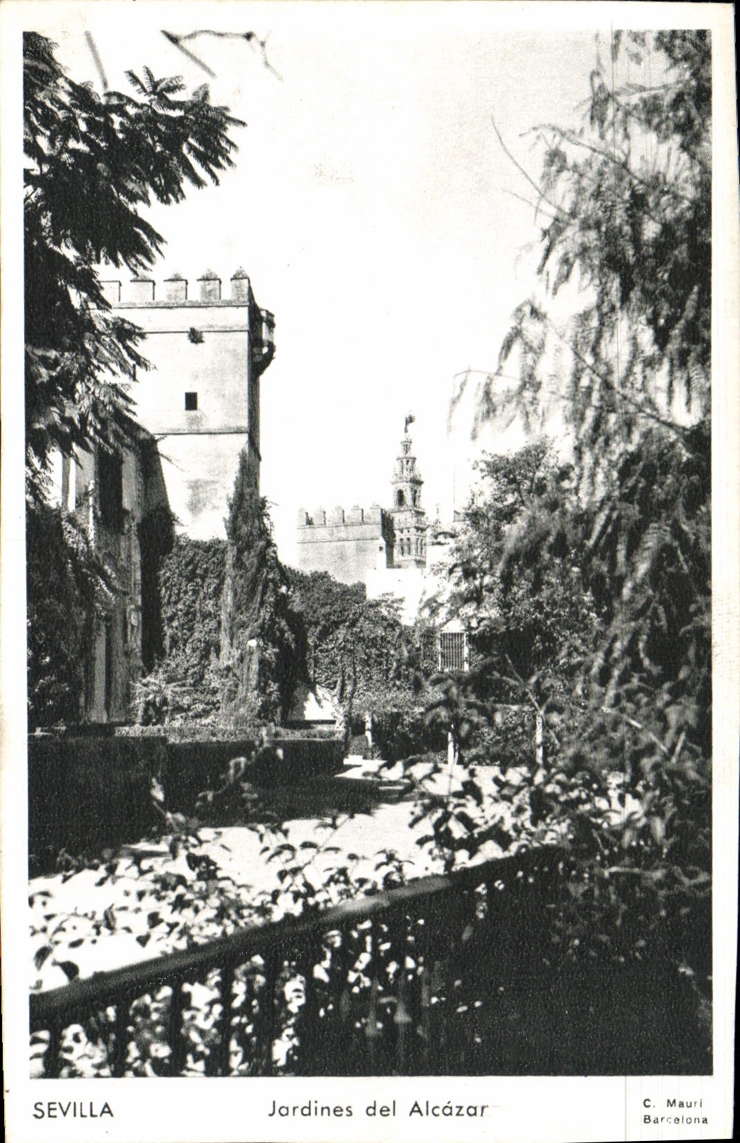 CPM Sevilla Jardines Del Alcazar