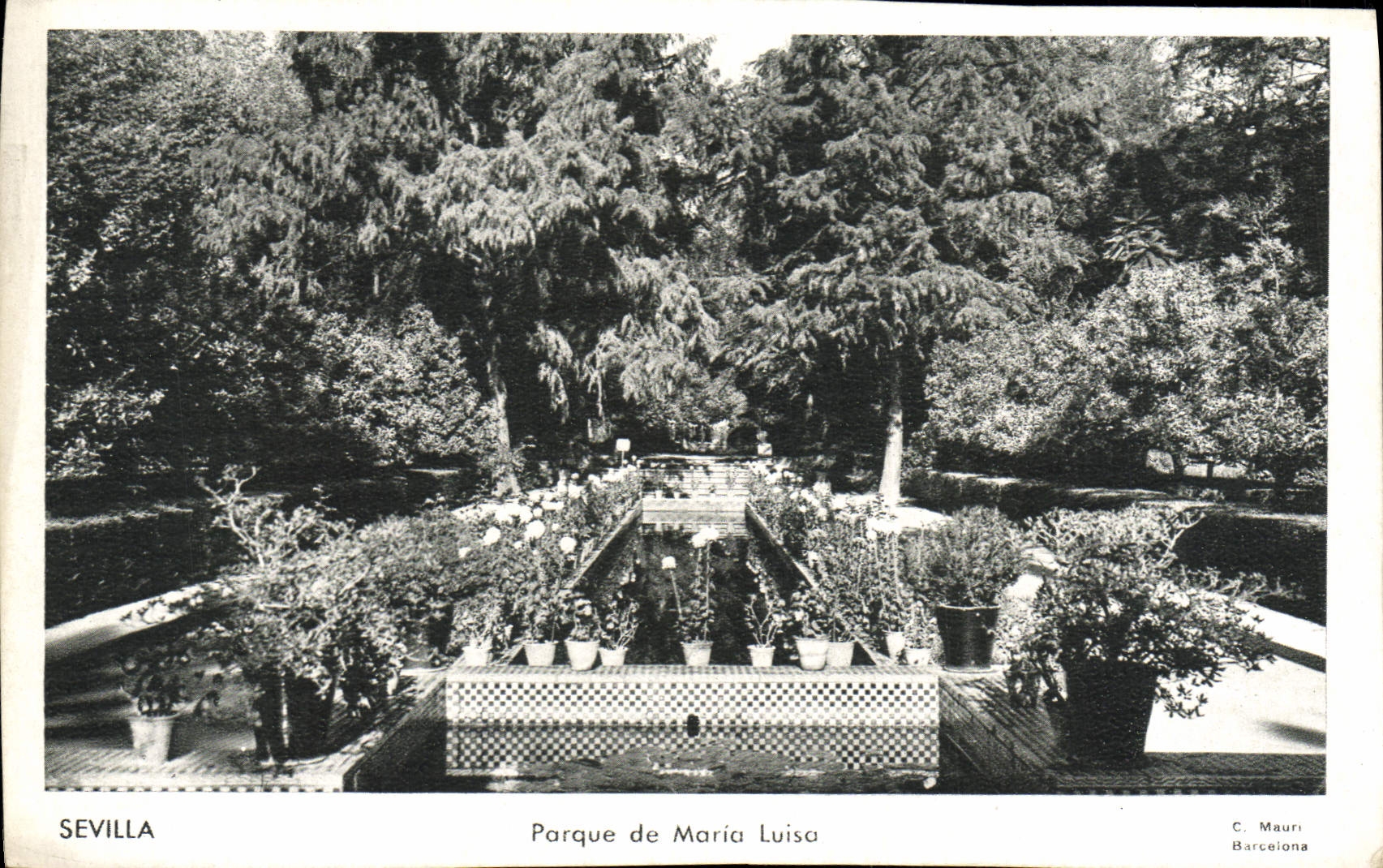 CPM Sevilla Parque De Maria Luisa