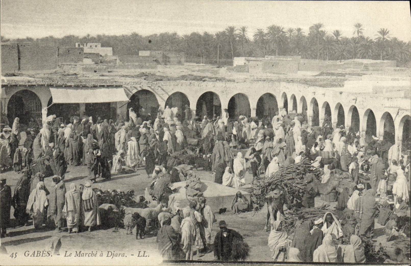 CPA Gabes Le Marche A Djara Chameaux