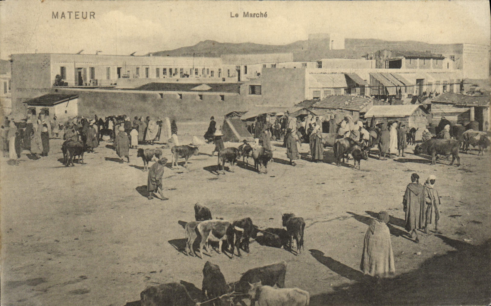 Mercado de Mateur de la POSTAL de la VENDIMIA
