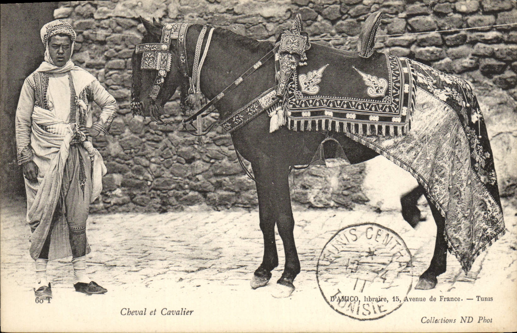 CPA Cheval Et Cavalier TOP Tunisie