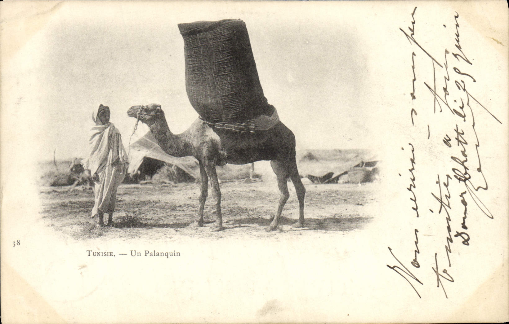 POSTAL Túnez de la VENDIMIA un camello de los trastos del filón