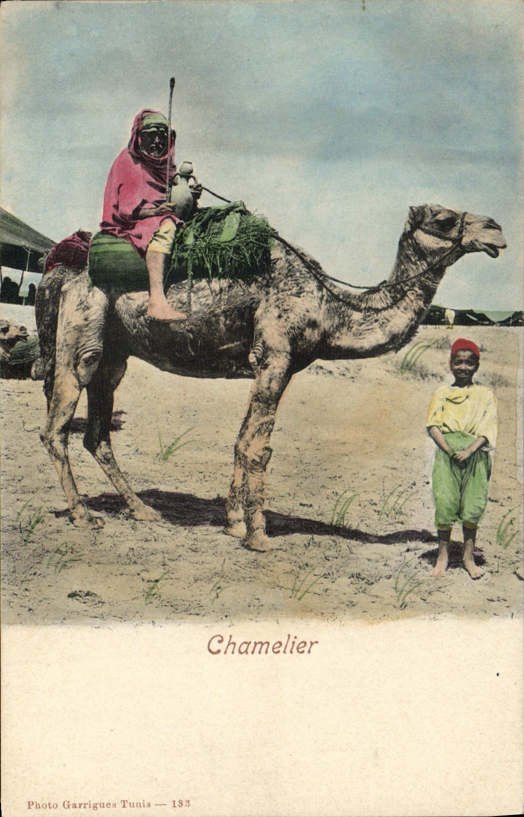 Camello del conductor del camello de la POSTAL de la VENDIMIA