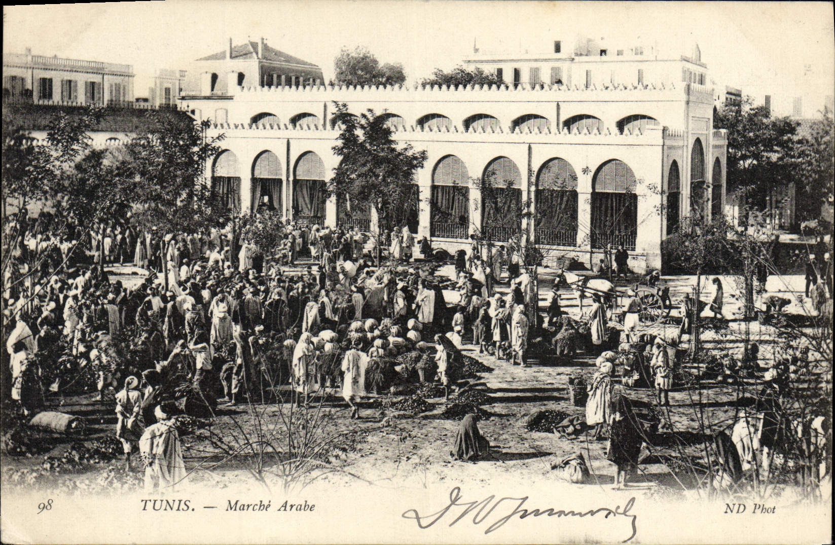 La POSTAL Túnez de la VENDIMIA va árabe