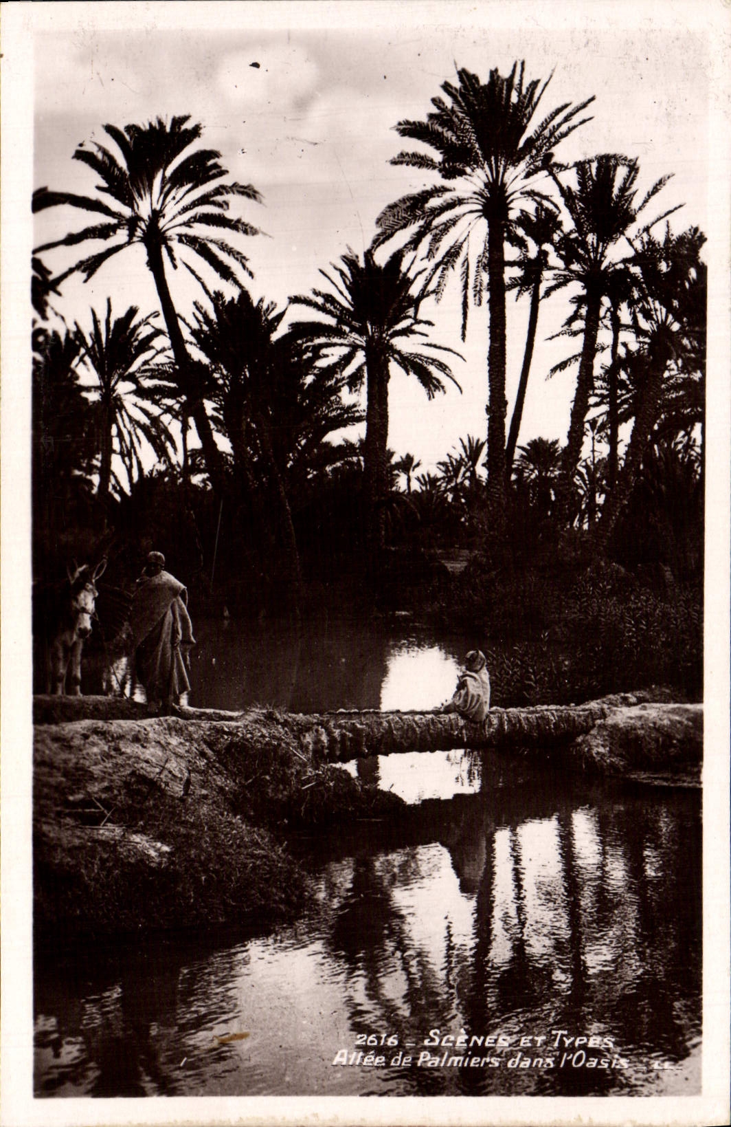 CPA Scenes Et Types Allee de Palmiers dans l'oasis