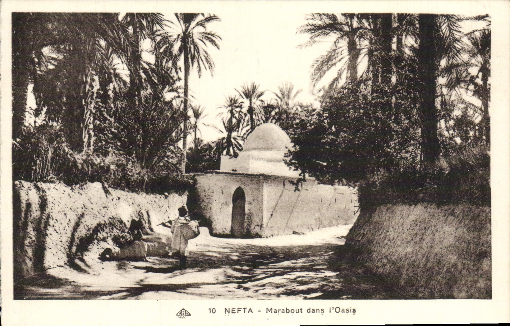 Morabito de Nefta de la POSTAL de la VENDIMIA en el oasis de I