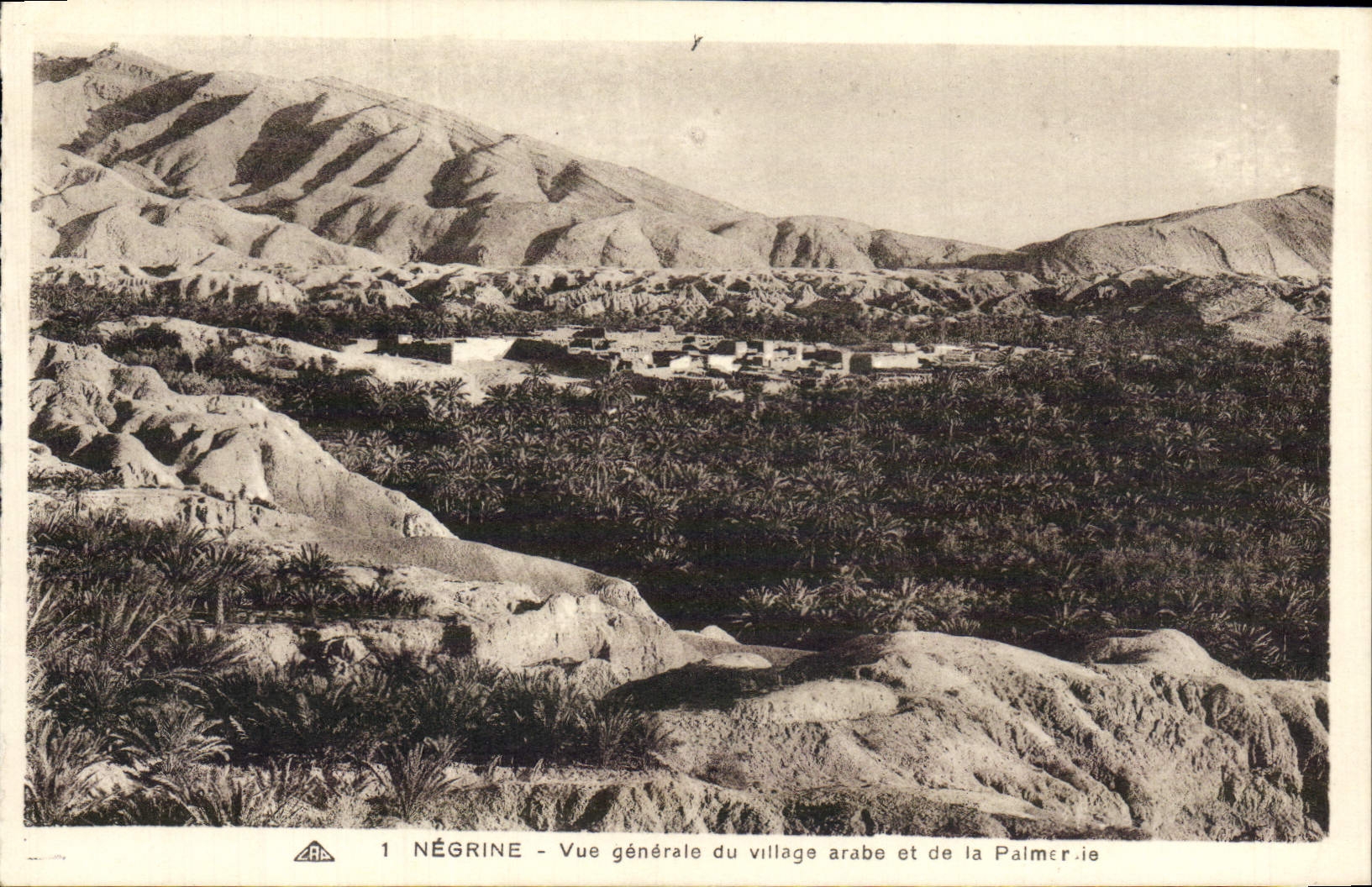 Opinión de Negrine de la POSTAL de la VENDIMIA de la aldea árabe y de la plantación de la palma