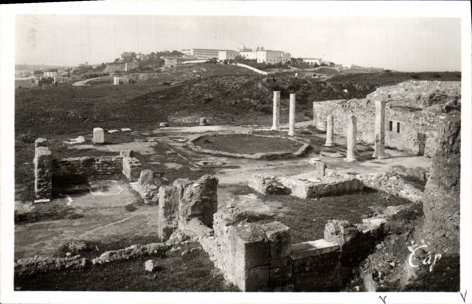 Casa romana de los chalets de Carthage de la POSTAL de la VENDIMIA del mosaico al Birdcage
