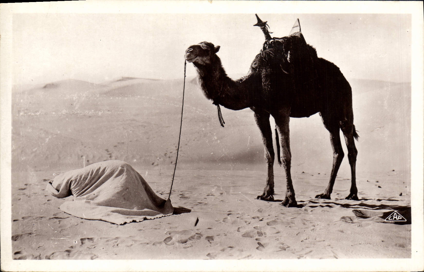 CPA Scenes et Types La Priere au desert Chameau