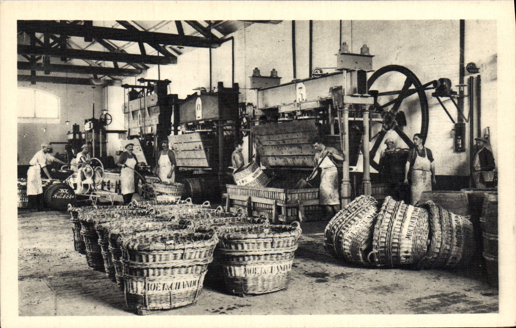 VINTAGE POSTCARD the grape basket of the House has Bouzy Moet & Chandon