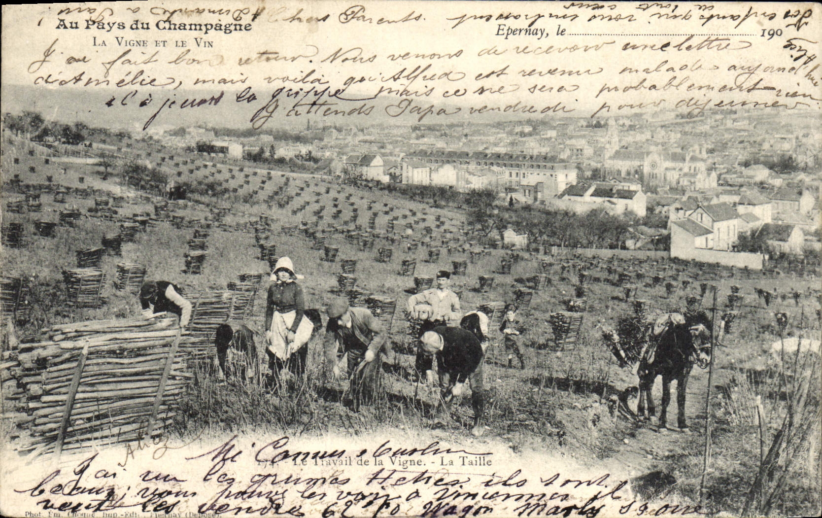 VINTAGE POSTCARD With the Country Of Champagne the work of vine TOP