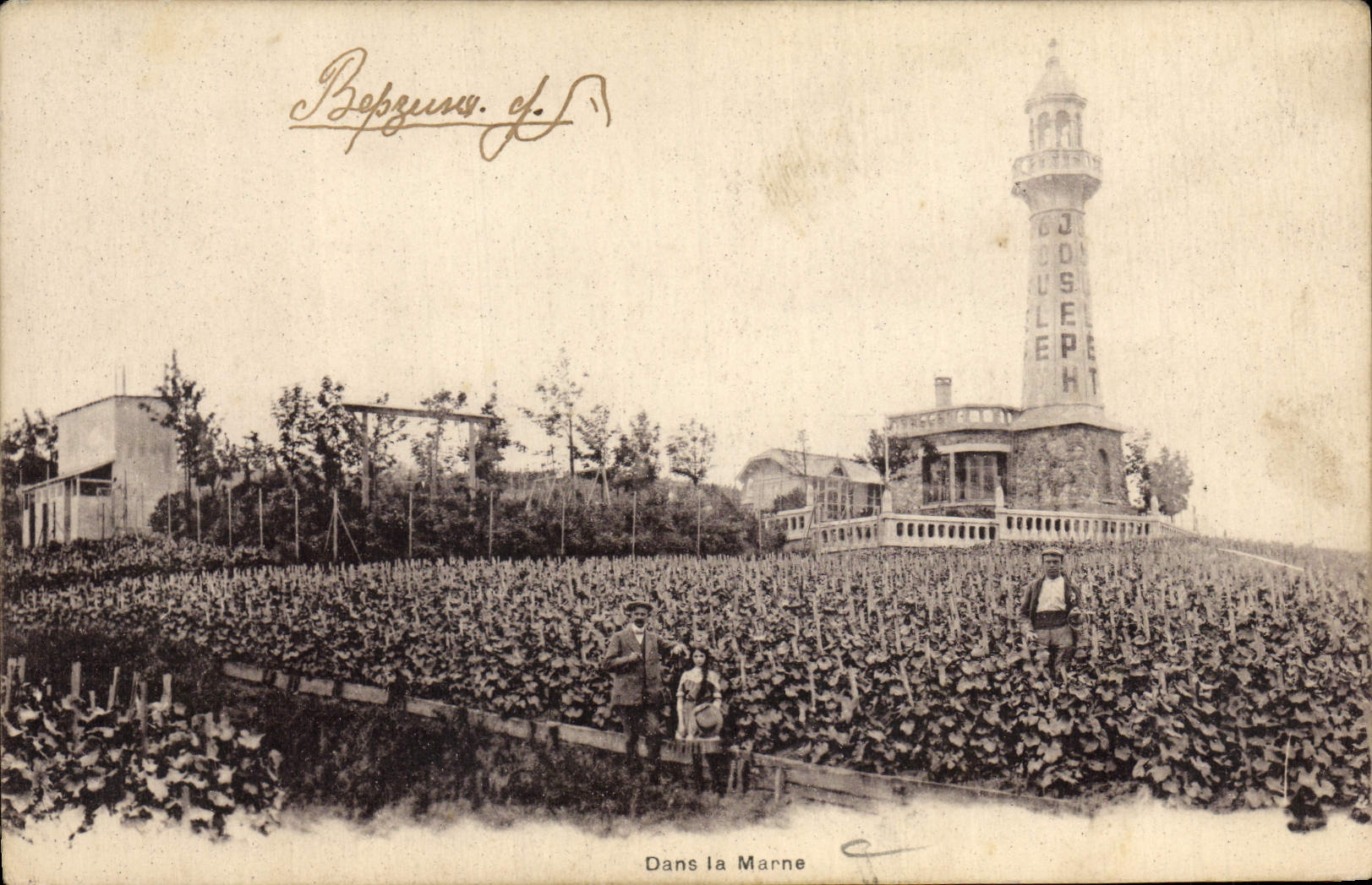 CPA Dans La Marne Vignes