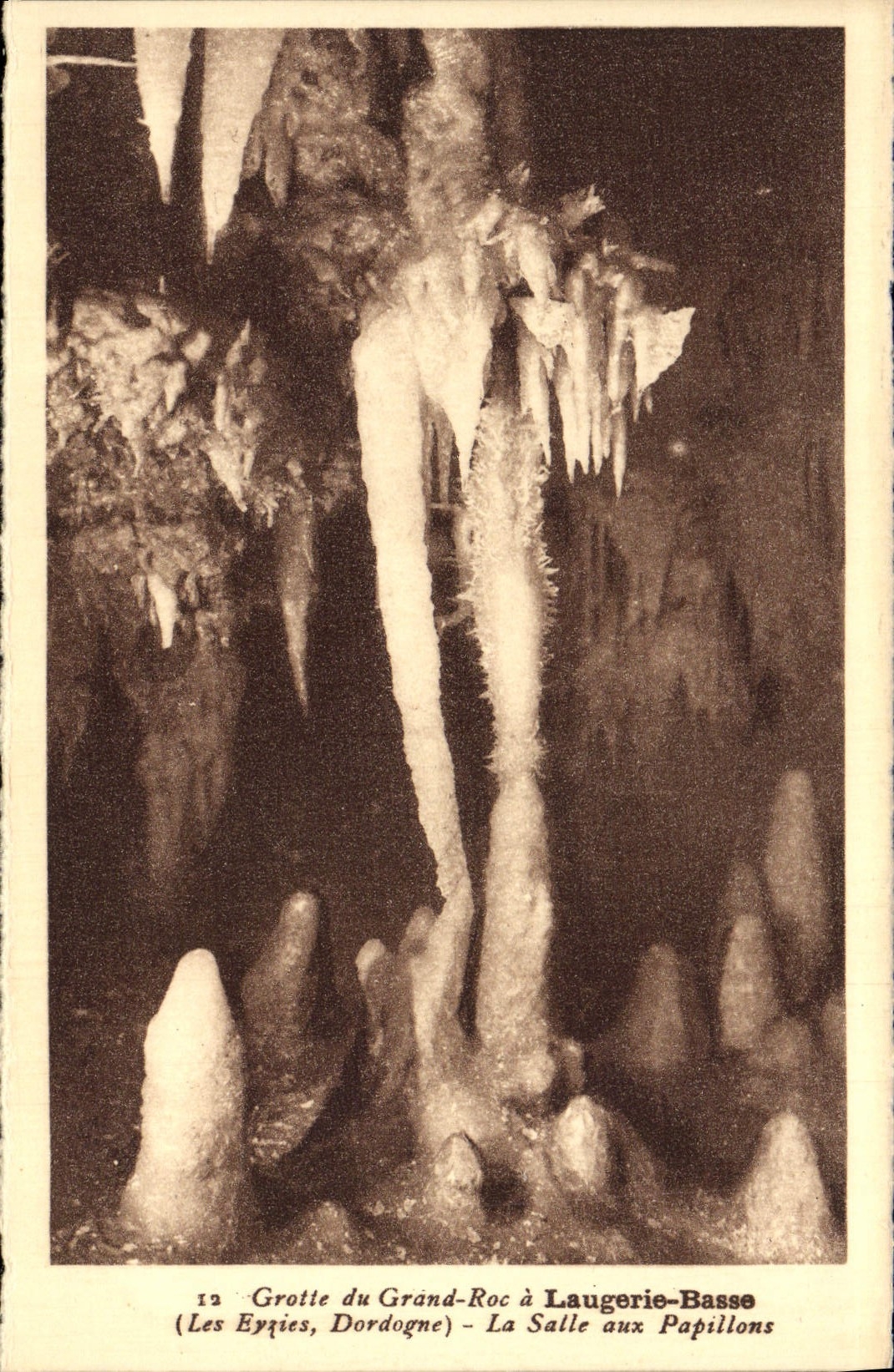 CPA Grotte Du Grand Roc A Laugerie Basse La Salle Aux Papillons