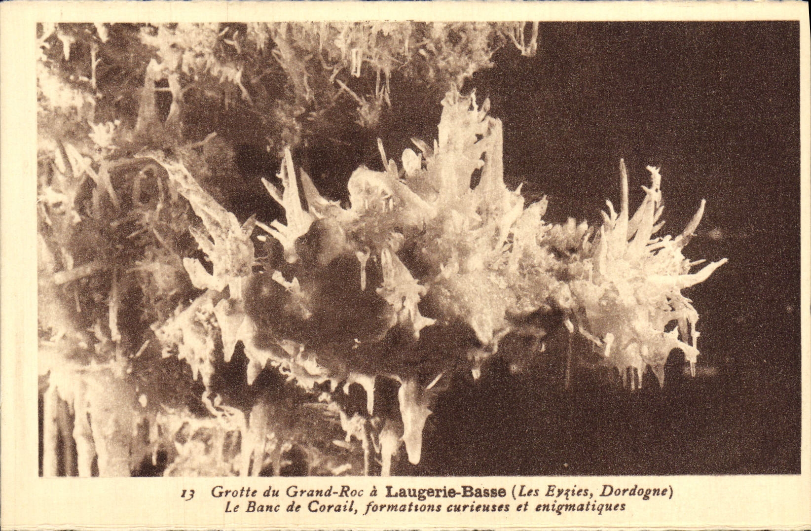 La POSTAL Grotte de la VENDIMIA de la roca grande tiene Laugerie Basse el banco y el Enignatiques curiosos coralinos de las formaciones