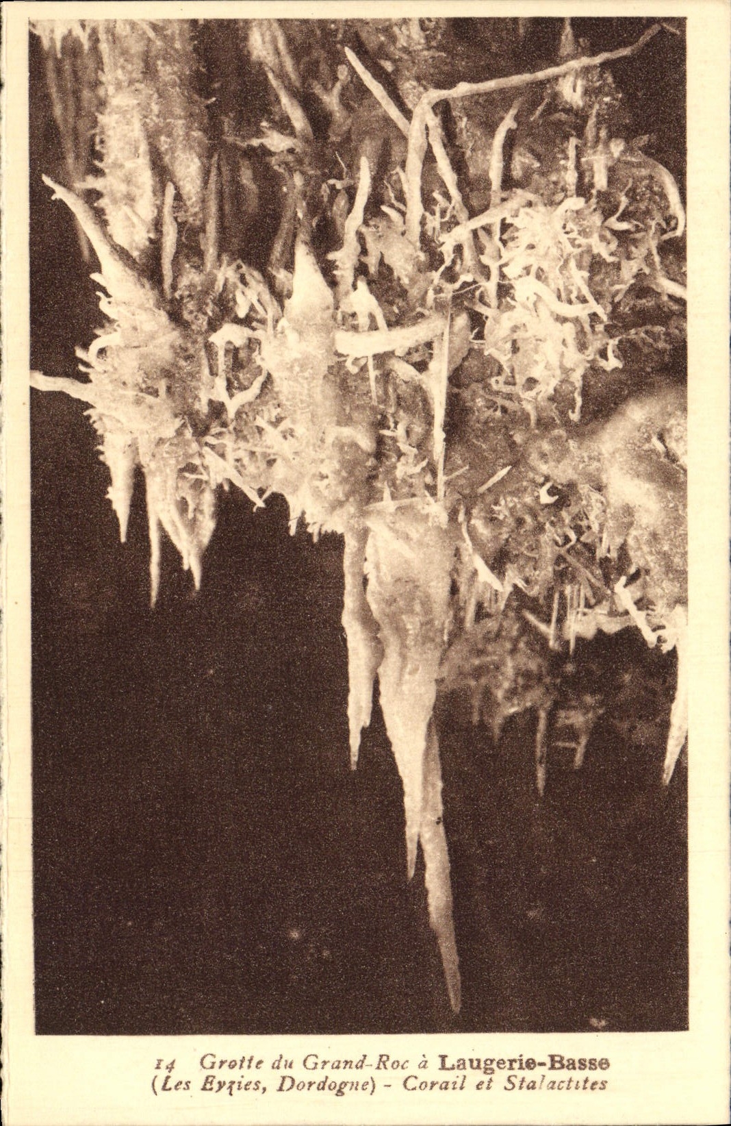 La POSTAL Grotte de la VENDIMIA de la roca grande tiene el coral y estalactitas de Laugerie Basse