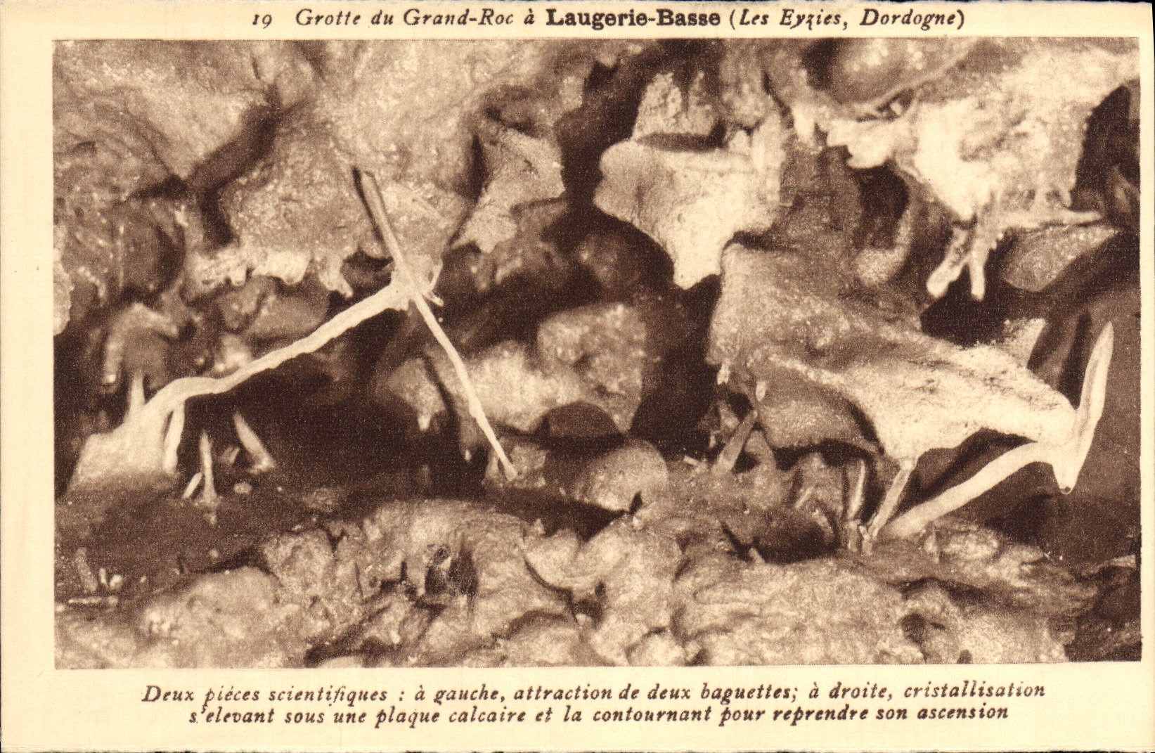 CPA Grotte Du Grand Roc A Laugerie Basse Les Eyzies