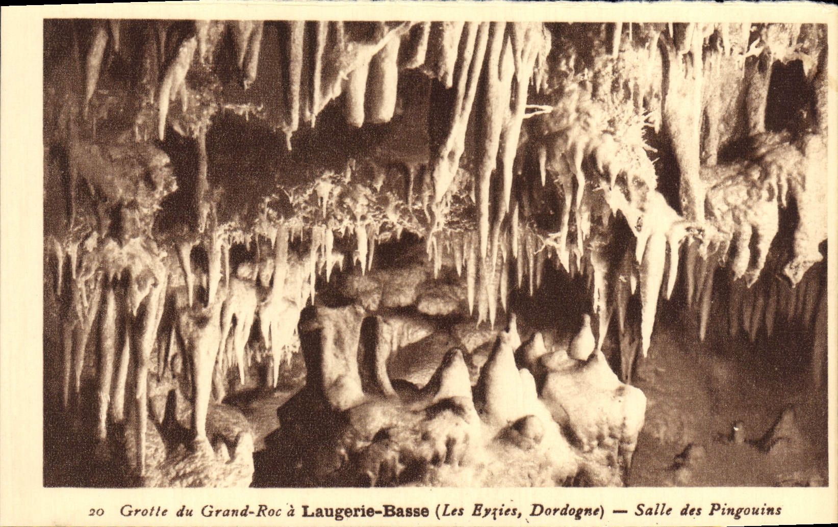 CPA Grotte Du Grand Roc A Laugerie Basse Salle Des Pingouins Les Eyzies