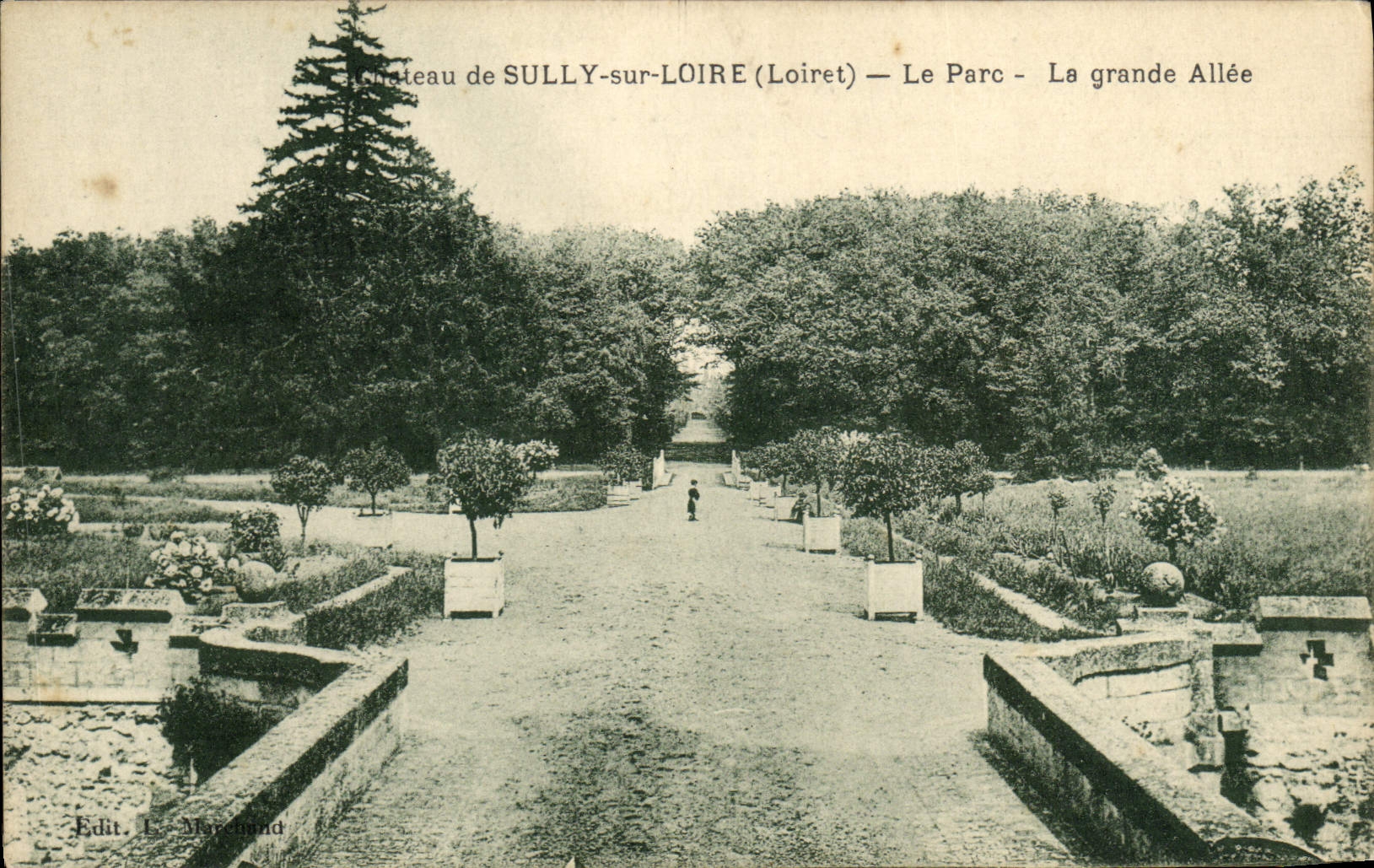 VINTAGE POSTCARD Castle of Sully On the Loire the Park the large Alley