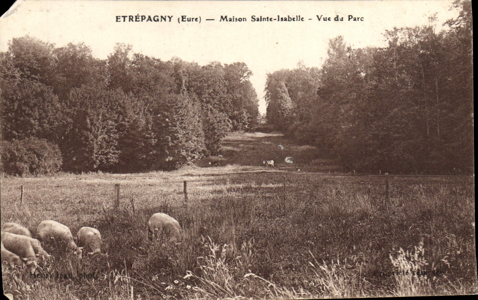 CPA Etrepagny Maison Sainte Isabelle Vue de Parc Moutons