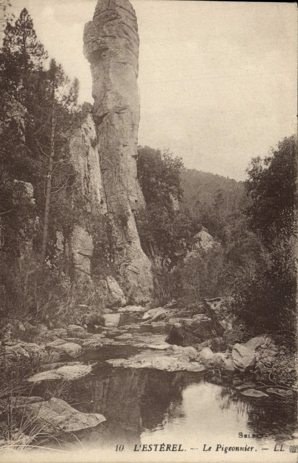 VINTAGE POSTCARD Esterel Pigeon Publicity Wellcome Heels Shoes