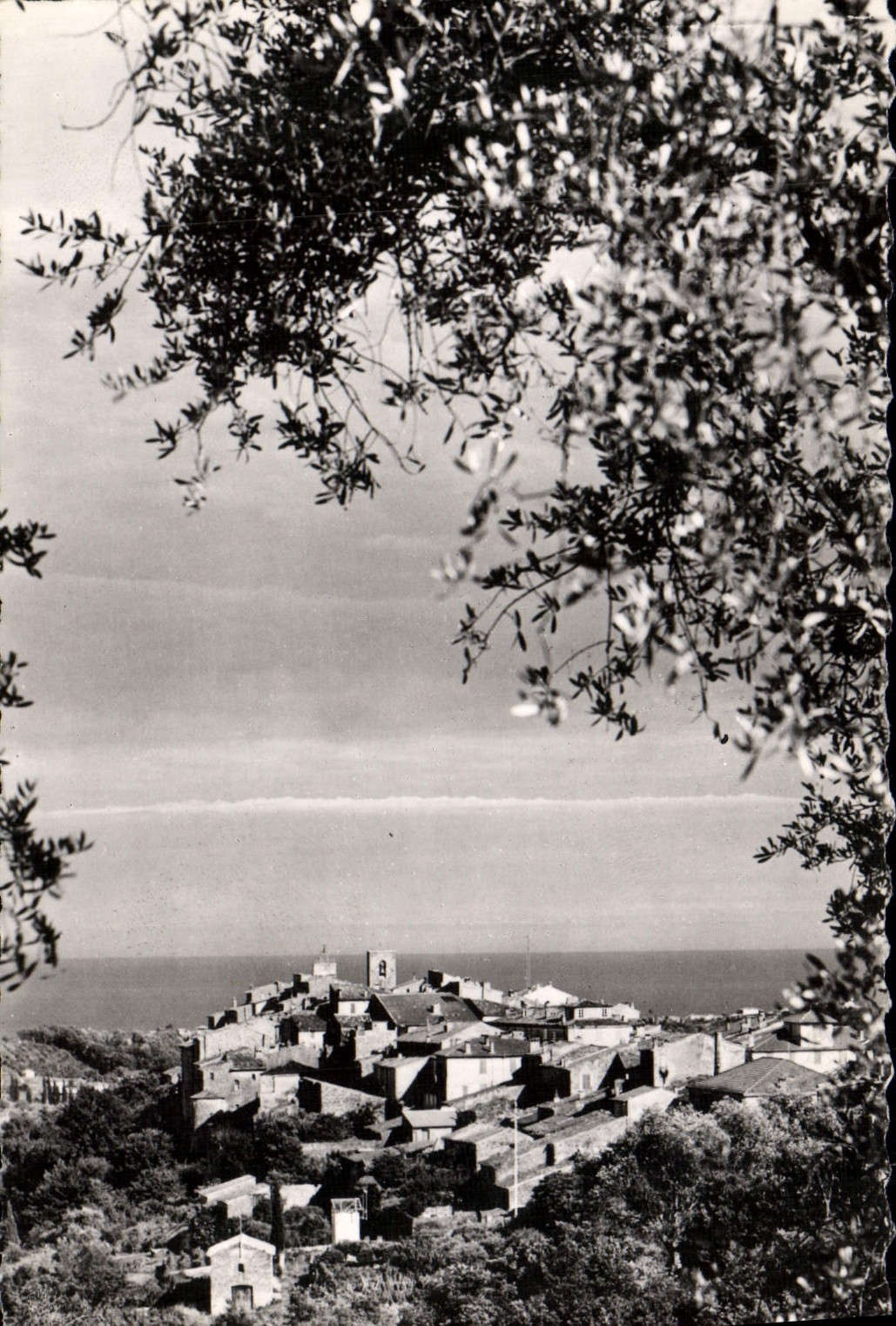 MODERN CARD Biot Overall picture