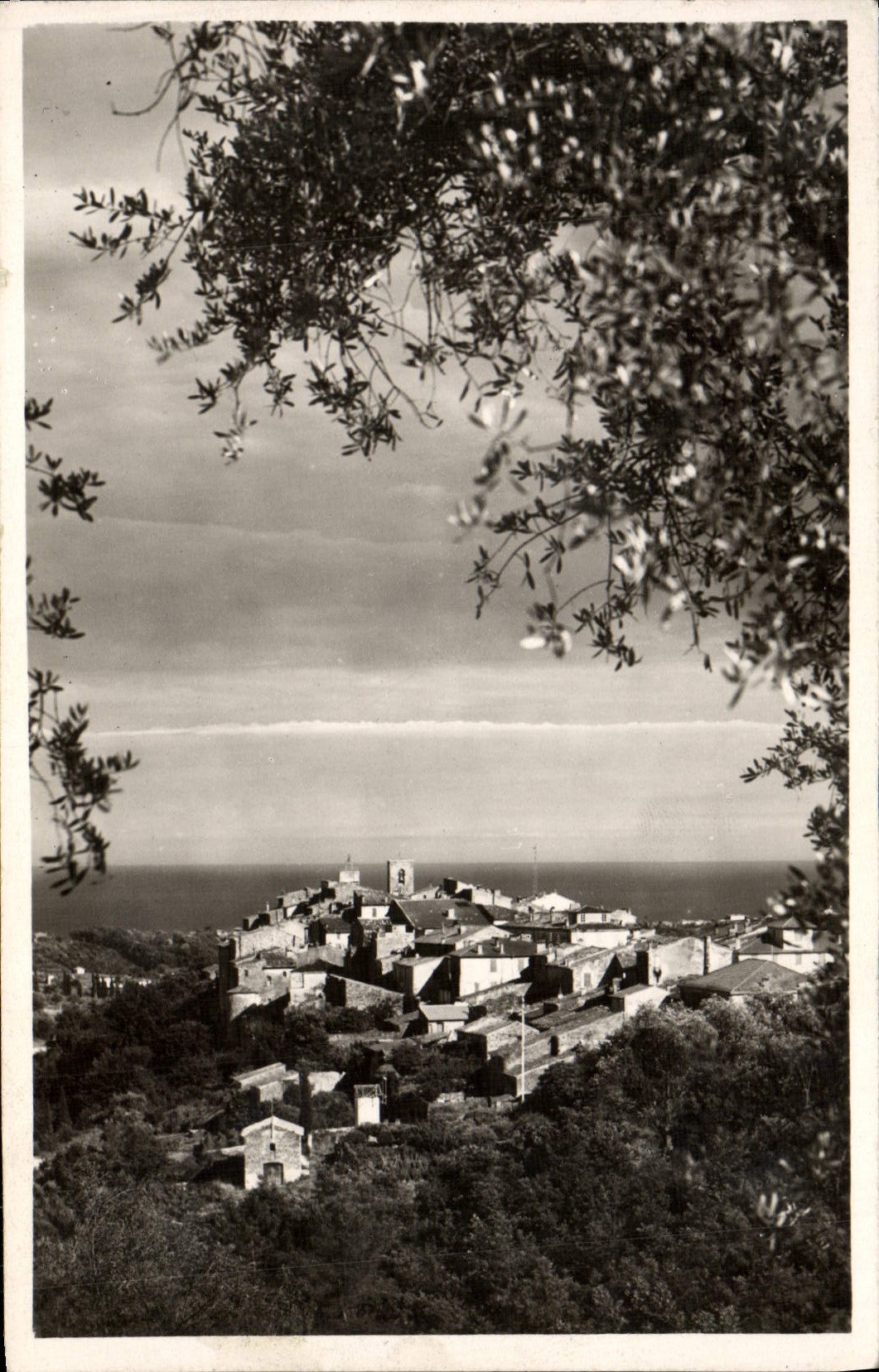CPM Biot Vue d'Ensemble