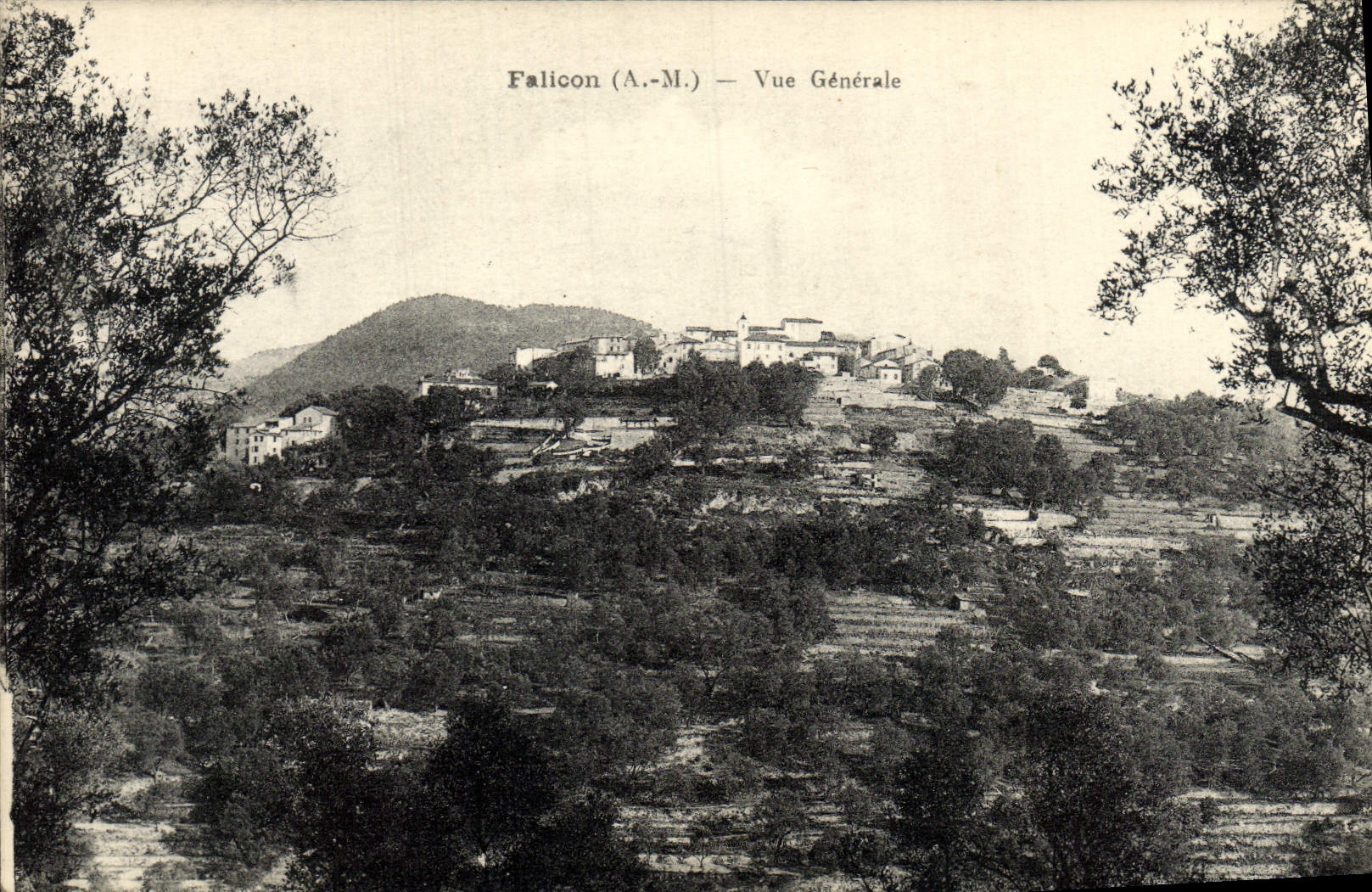 CPA Falicon Vue Generale