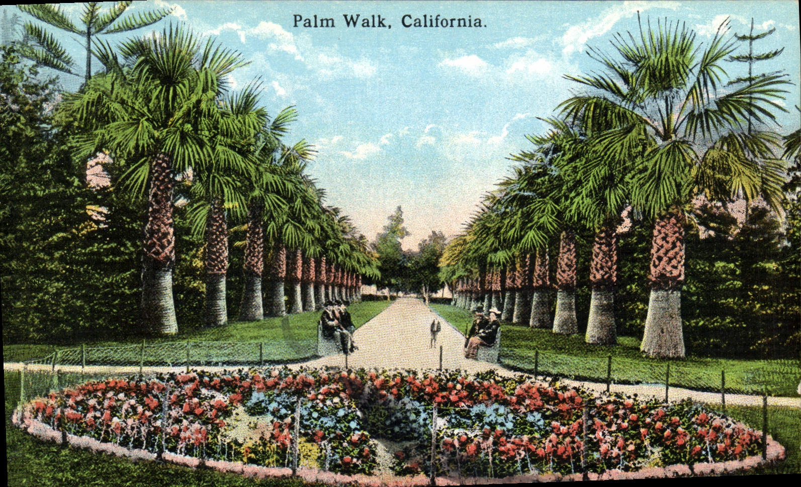 CPA Palm Walk California