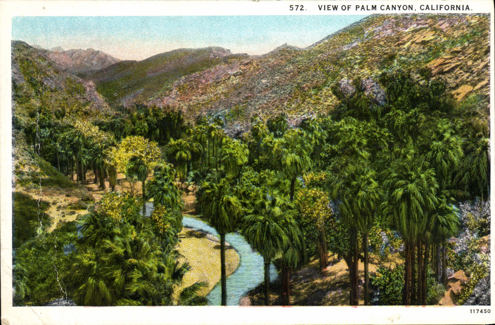 CPA View Of Palm Canyon California