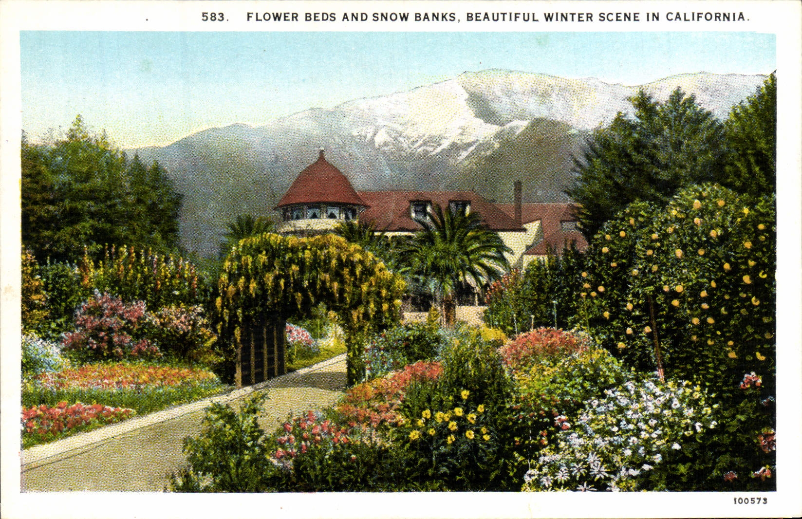 CPA Flower Beds And Show Banks Beautiful Winter Scene In California