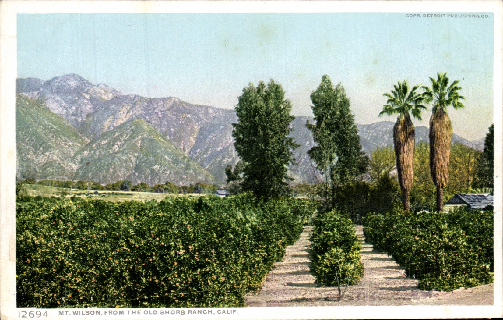 CPA Mt Wilson From The Old Shorb Ranch Calif