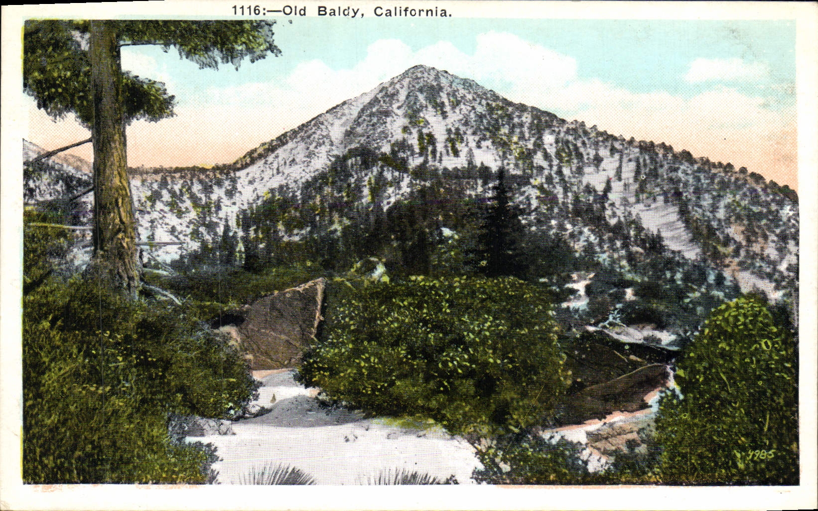 CPA Old Baldy California