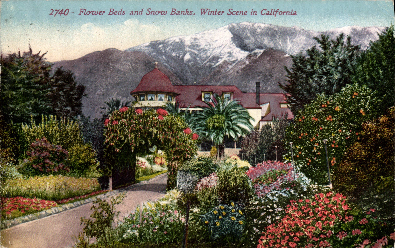CPA Flower Beds And Snow Banks Winter Scene In California