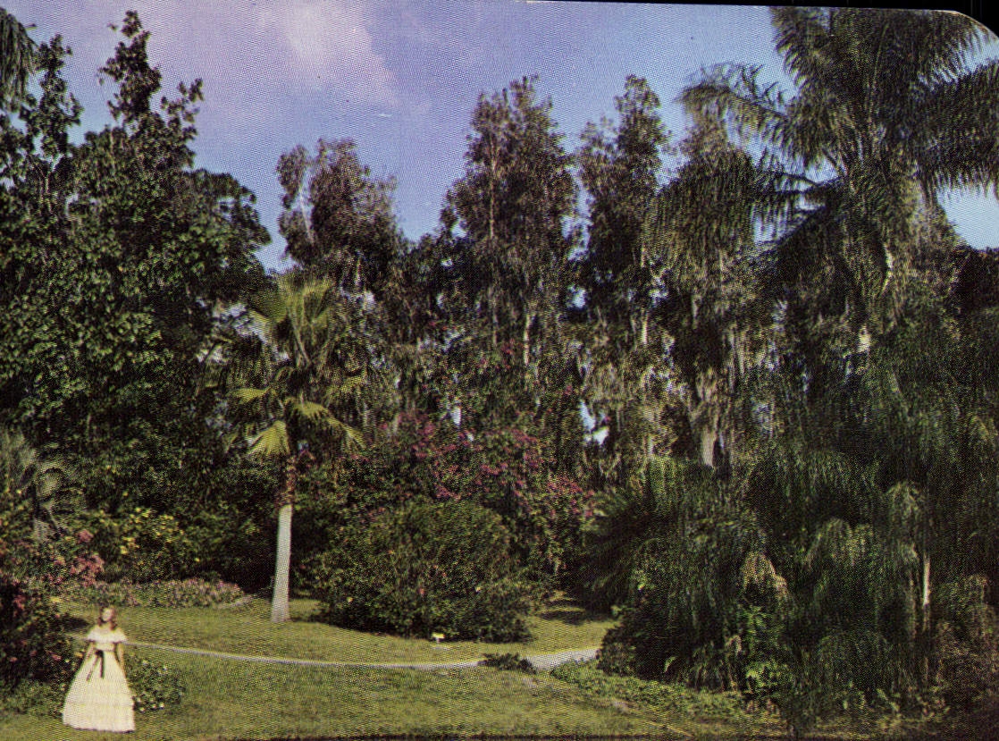 CPM Beautiful Cypress Gardens Florida