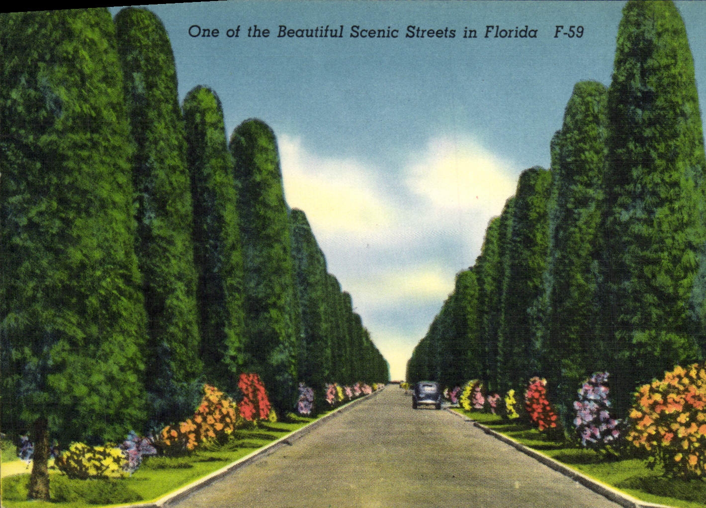 VINTAGE POSTCARD One Off The Beautiful Scenic Streets In Florida