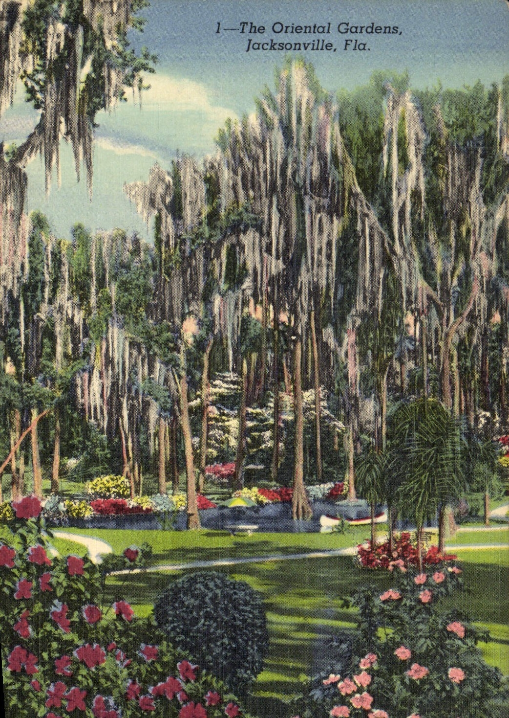 VINTAGE POSTCARD Eastern The Gardens Jacksonville Fla