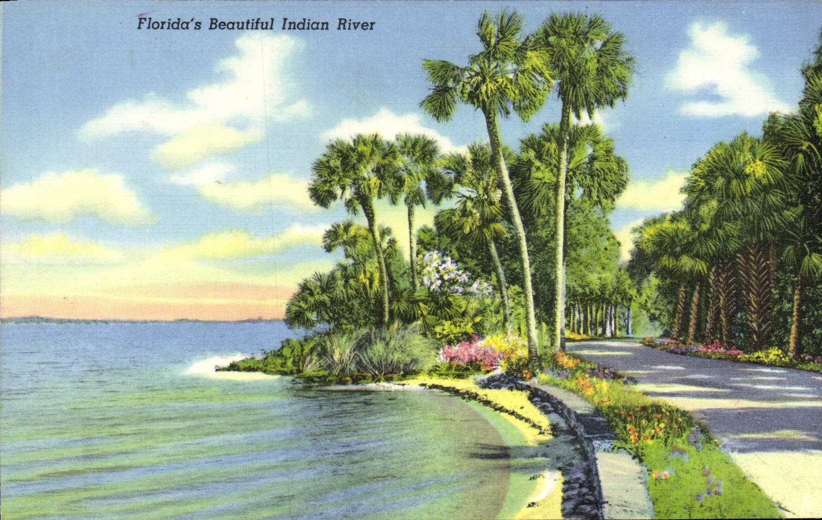 VINTAGE POSTCARD Florida' S Beautiful Indian To rivet