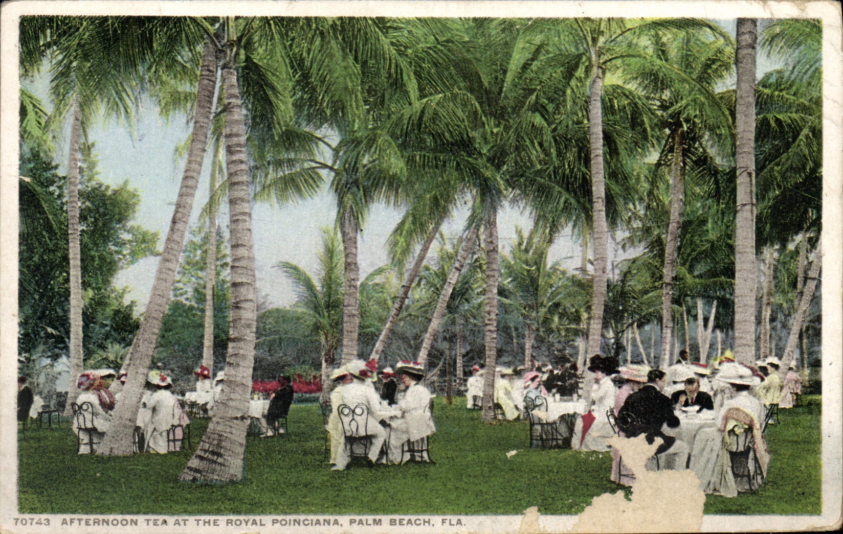 CPA Afternoon Tea At The royal Poinciana Palm Beach Fla