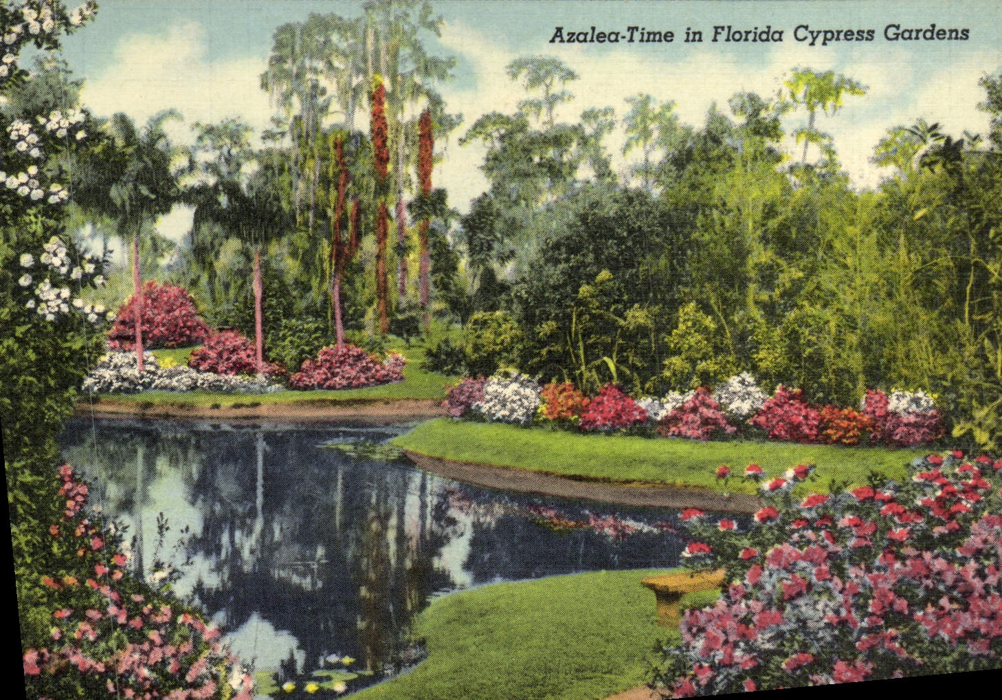 CPA Azalea Time In Florida Cypress Gardens