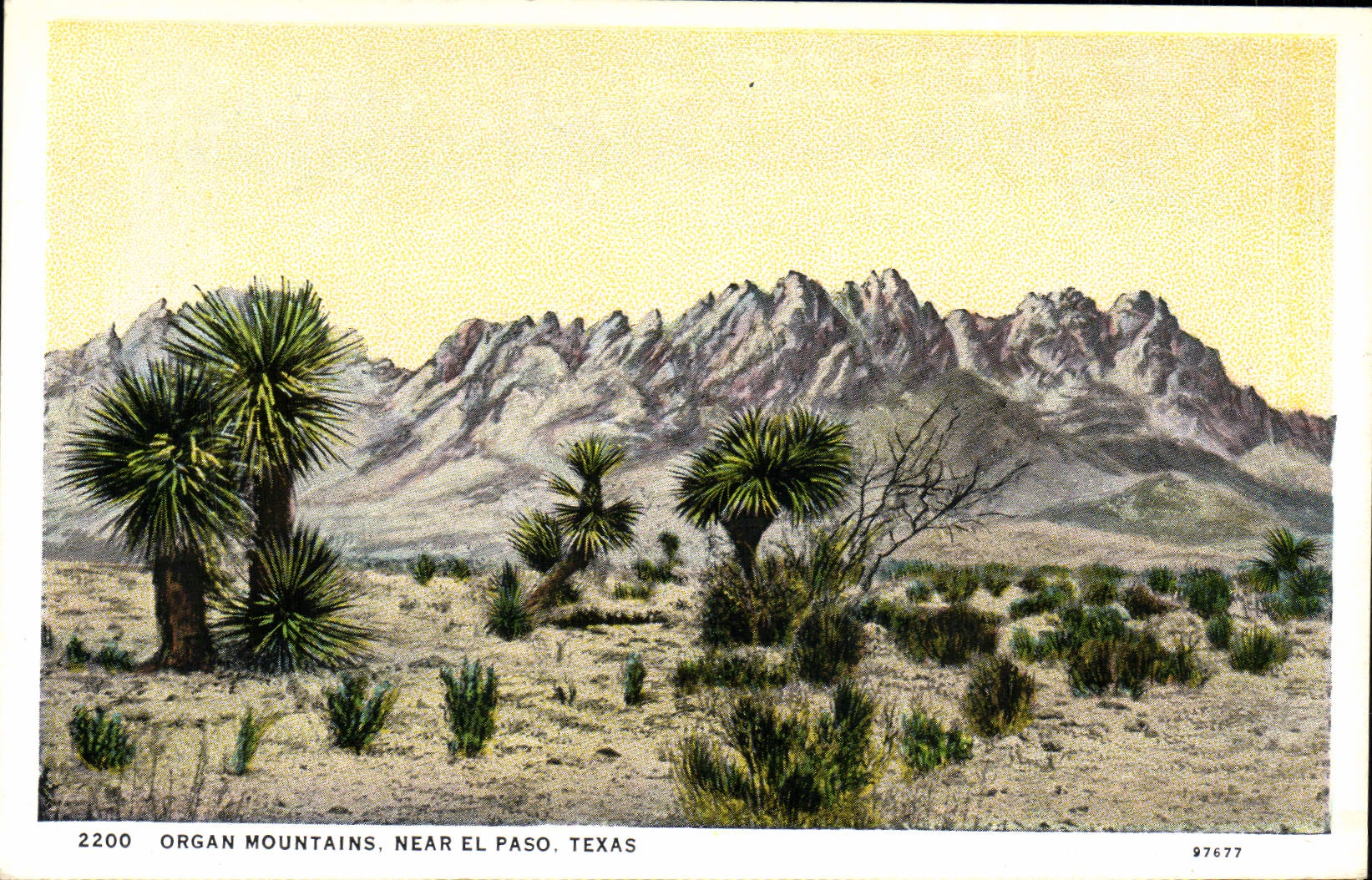 VINTAGE POSTCARD Organ Mountains Near El Paso Texas