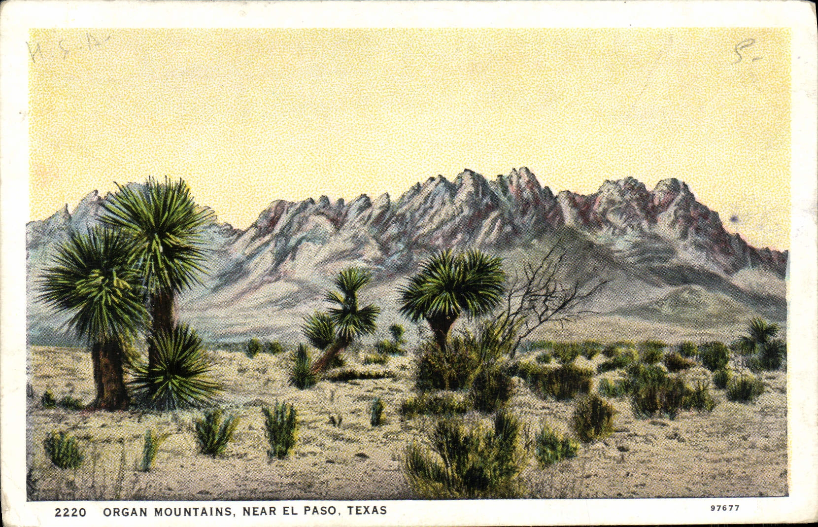 CPA Organ Mountains Near El Paso Texas