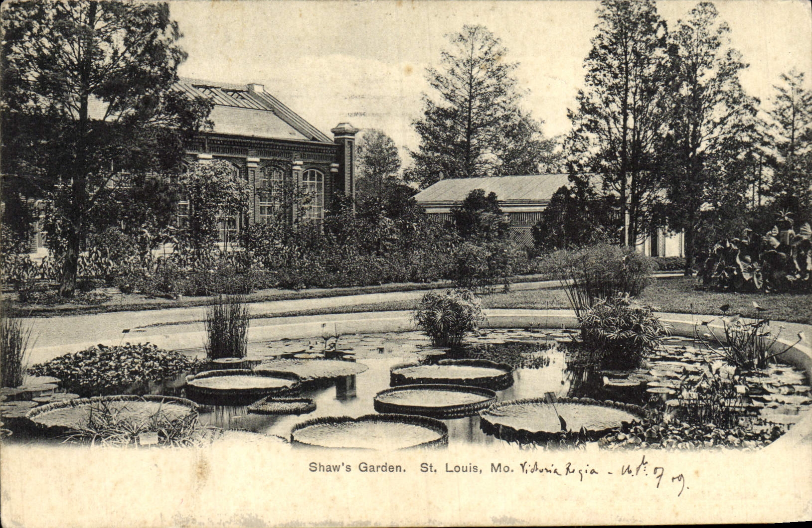 VINTAGE POSTCARD Shaw' S Garden St Louis