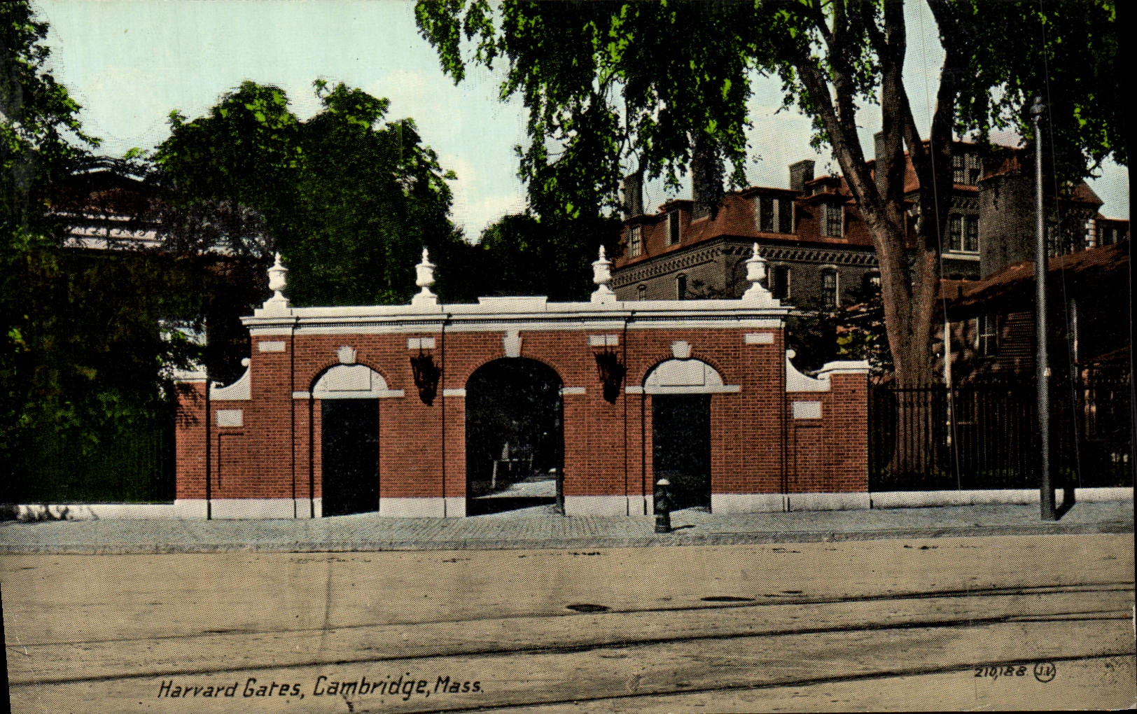 VINTAGE POSTCARD Harrvard Spoil Cambridge Mass