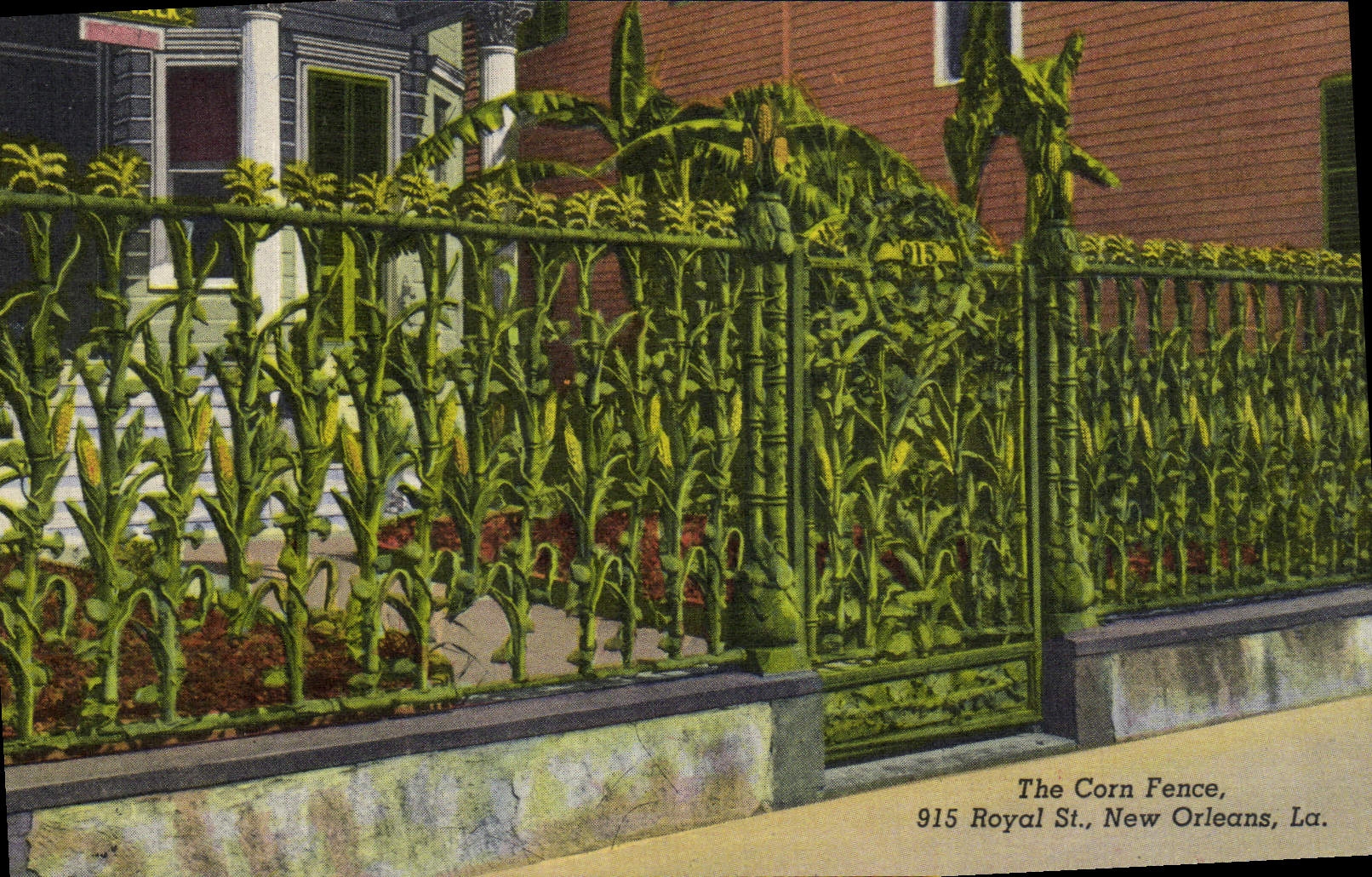 POSTAL de la VENDIMIA la cerca New Orleans real del maíz