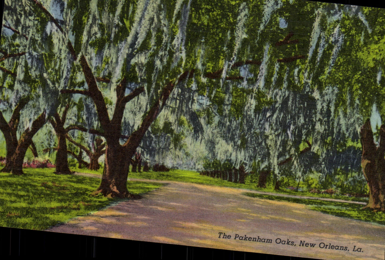 VINTAGE POSTCARD The Pakenham Ocks New Orleans