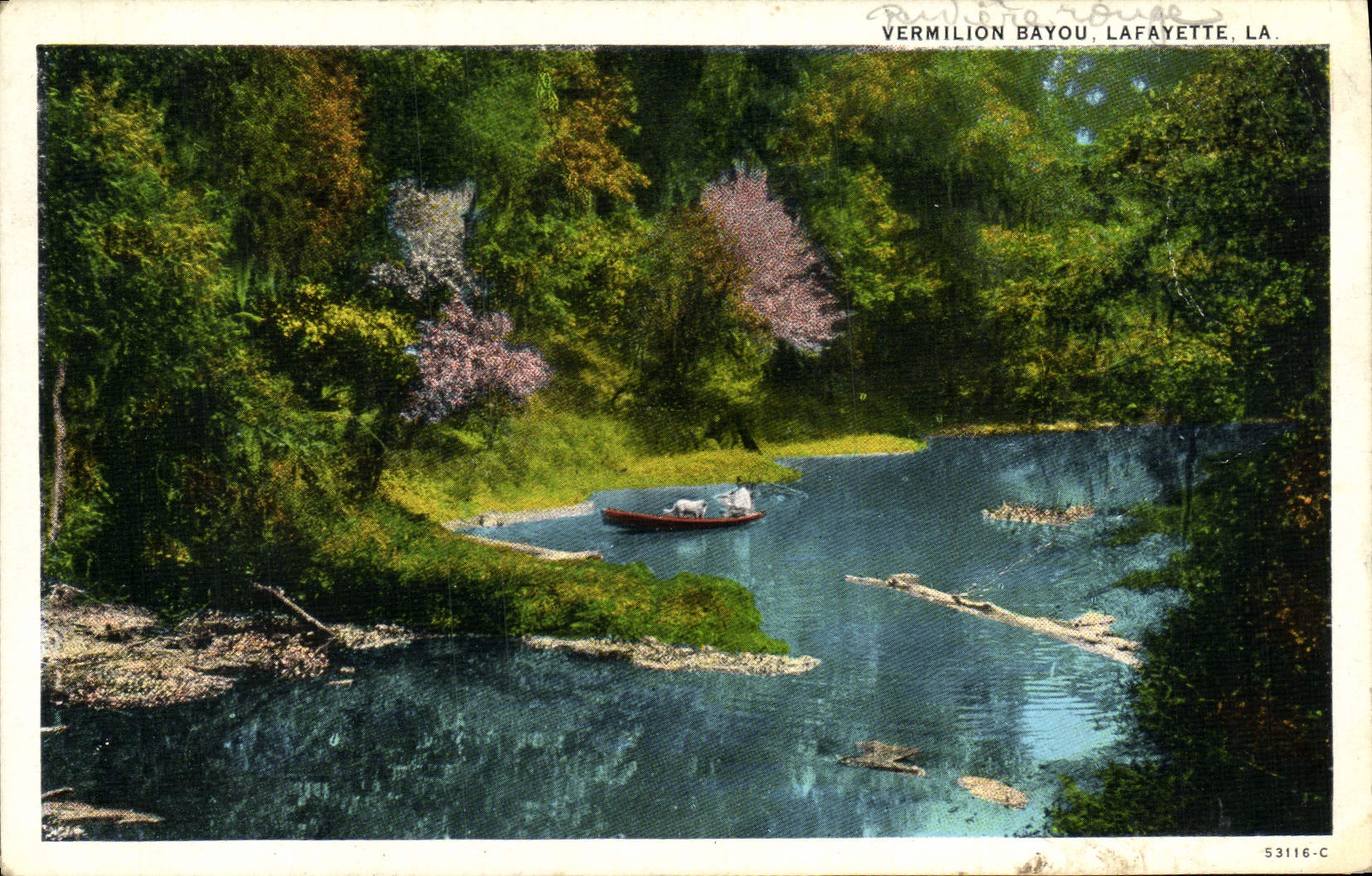VINTAGE POSTCARD Vermilion Bayou Lafayette New Orleans