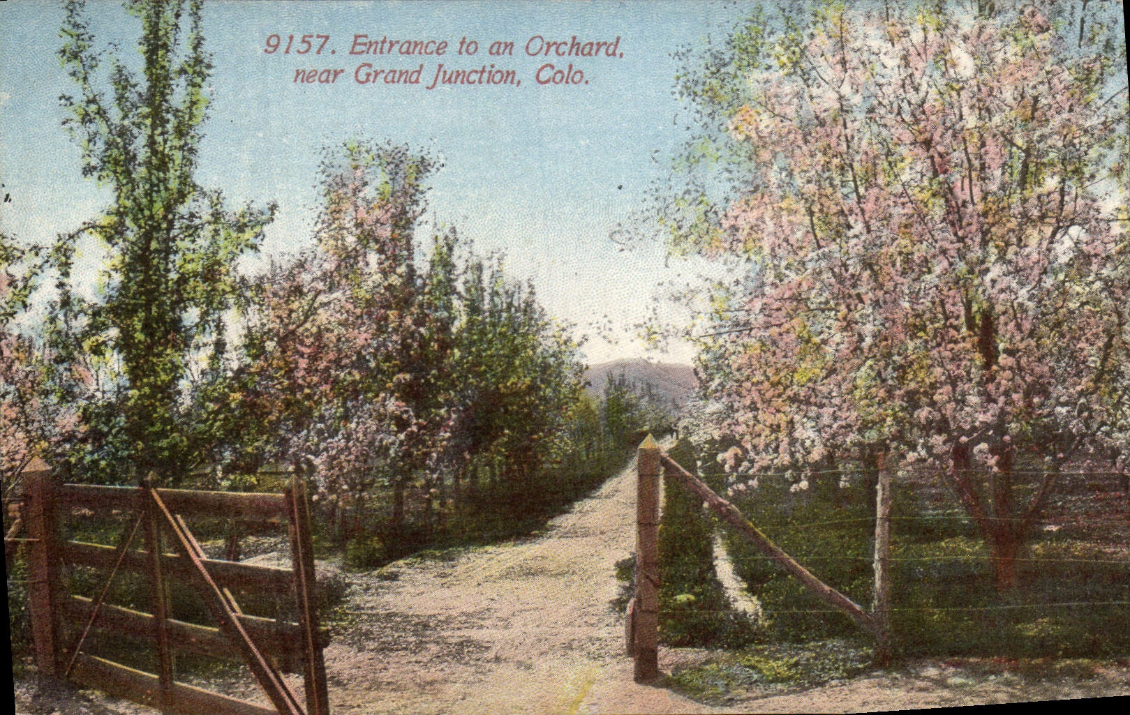 Fan-in de Colorado de la POSTAL de la VENDIMIA a la huerta del año cerca de la ensambladura grande