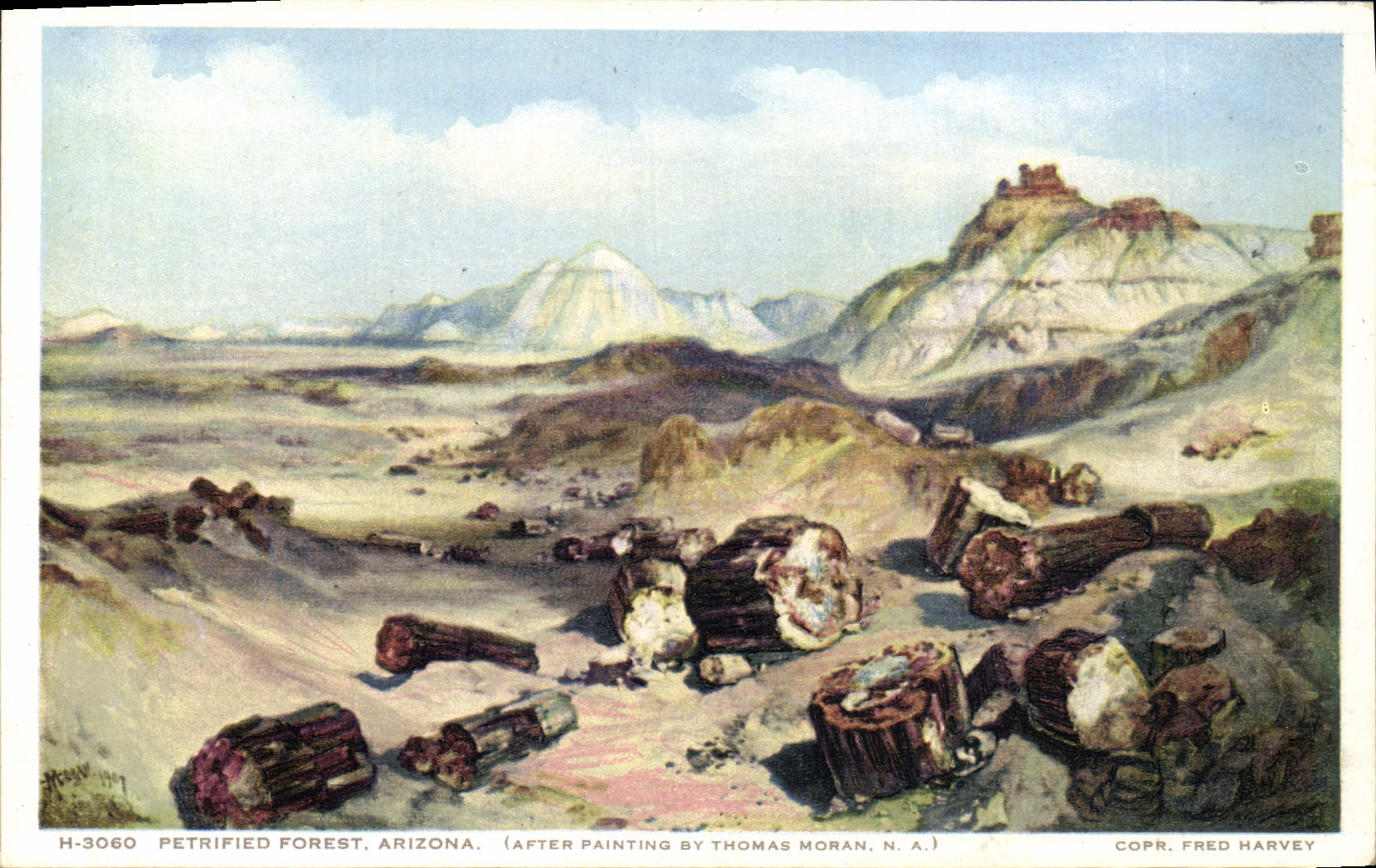 VINTAGE POSTCARD Arizona Petrified Forest