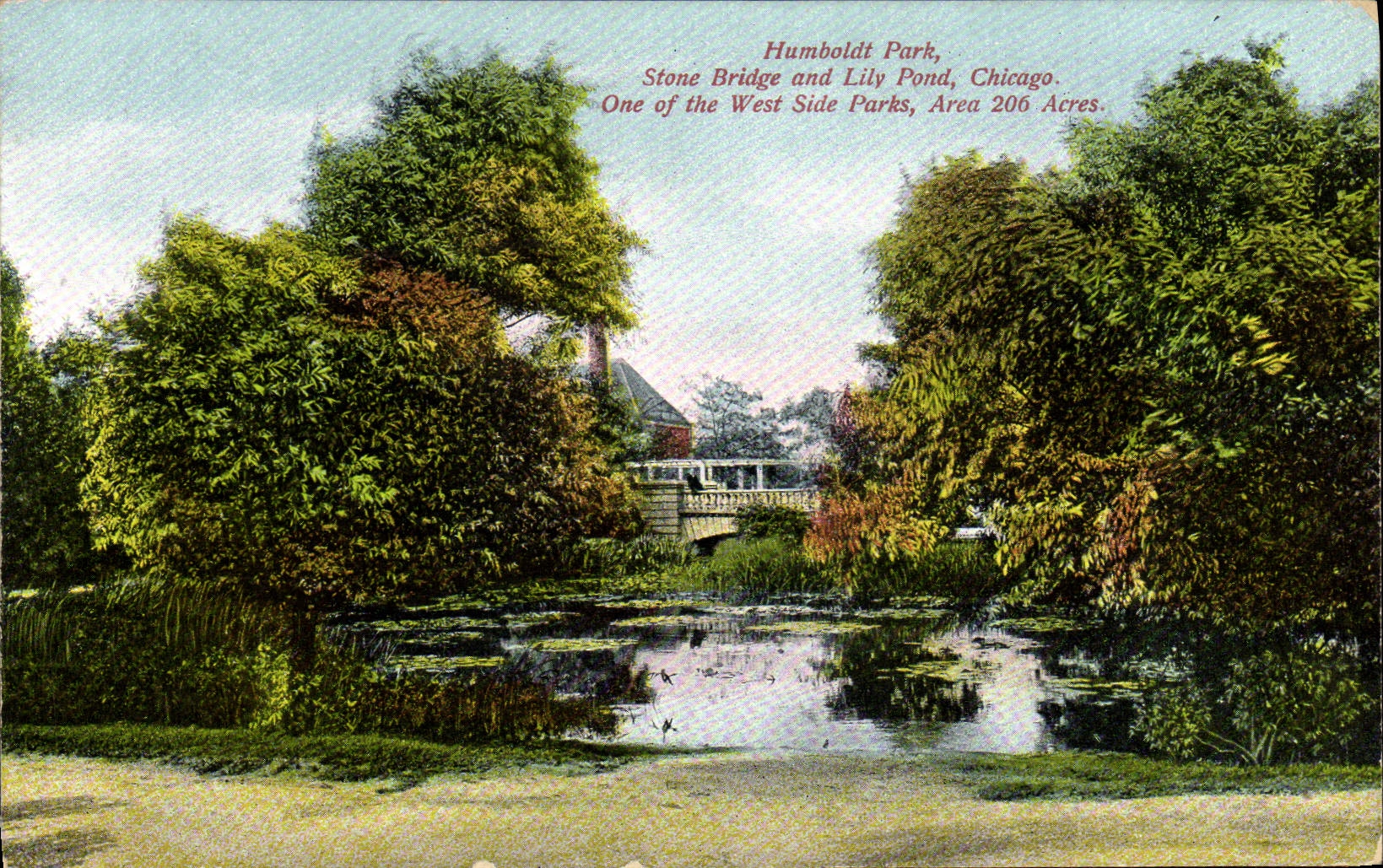 VINTAGE POSTCARD Chicago Humboldt Park Stone Bridge and Lily Lays